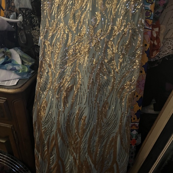 Elegant Formal Evening Gown - Picture 3 of 11